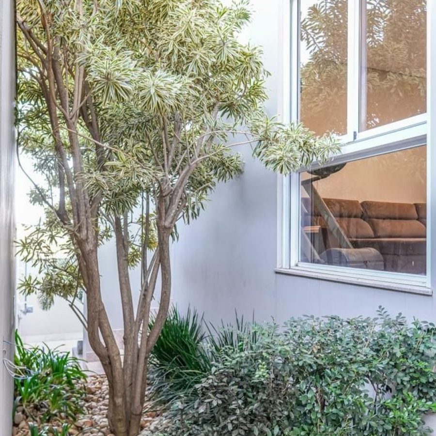 WhatsApp Image 2024-02-28 at 21.00.02