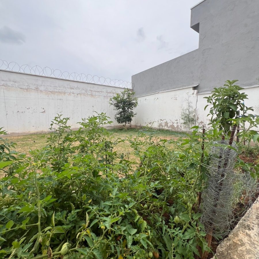 WhatsApp Image 2025-10-13 at 19.34.07 (1)