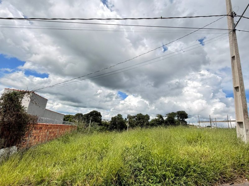 WhatsApp Image 2026-01-19 at 13.57.36