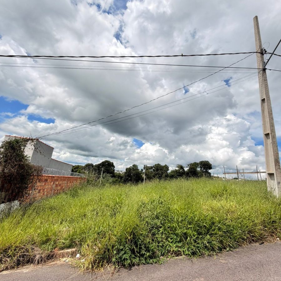 WhatsApp Image 2026-01-19 at 13.57.36