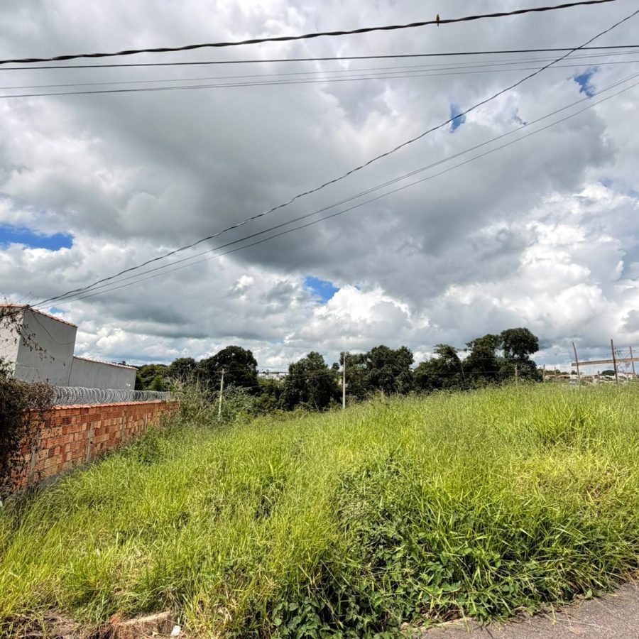 WhatsApp Image 2026-01-19 at 13.57.42