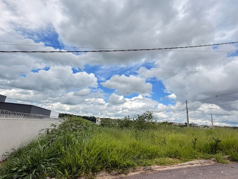 WhatsApp Image 2026-01-19 at 14.10.56 (1)