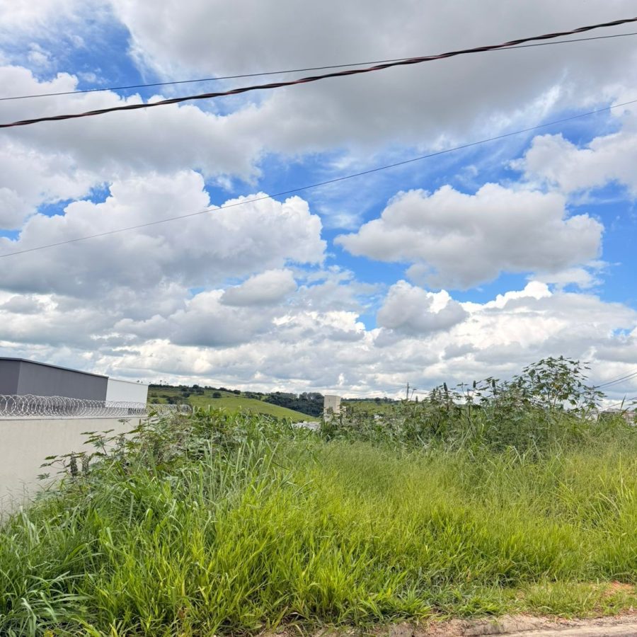 WhatsApp Image 2026-01-19 at 14.10.56