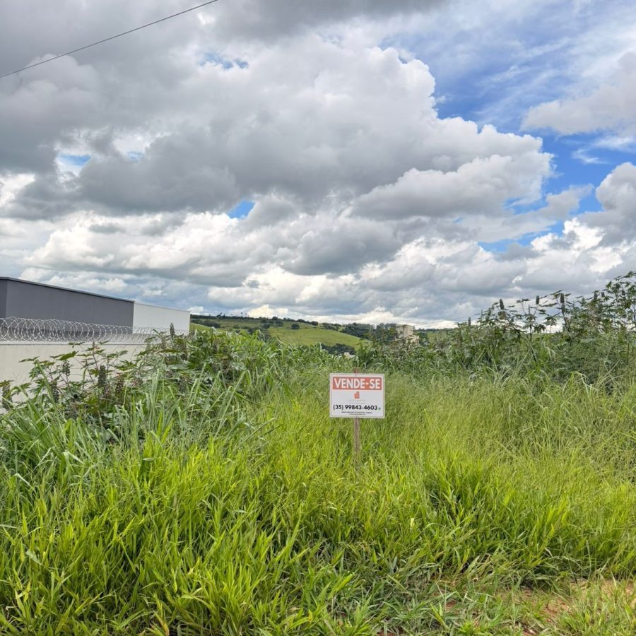 WhatsApp Image 2026-01-19 at 14.13.38