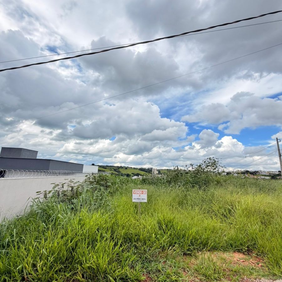 WhatsApp Image 2026-01-19 at 14.13.44