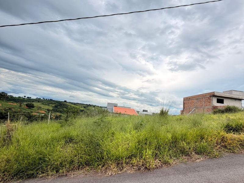 WhatsApp Image 2026-01-19 at 18.52.52