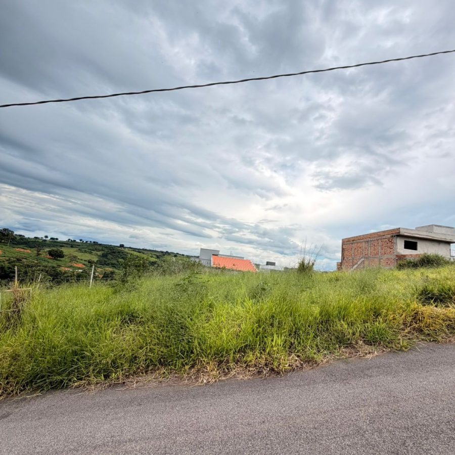 WhatsApp Image 2026-01-19 at 18.52.52